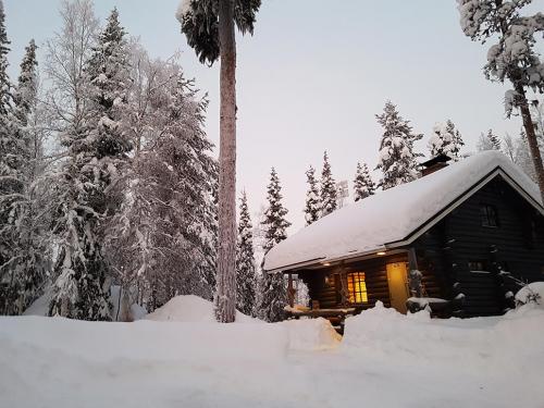 Käppyrä talvi